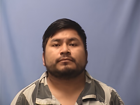 Mugshot of JULIAN ARTURO