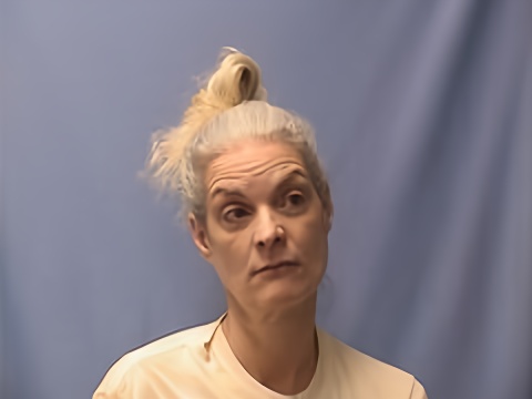 Mugshot of TINA HOLMAN