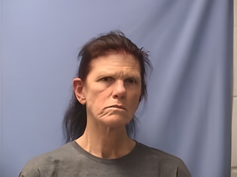 Mugshot of DENISE WALKER