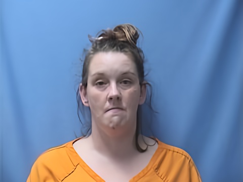 Mugshot of SORINA, THIEN