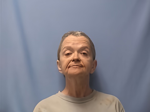 Mugshot of TERI OLIVER