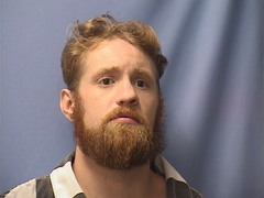 Mugshot of GAVIN WELLS