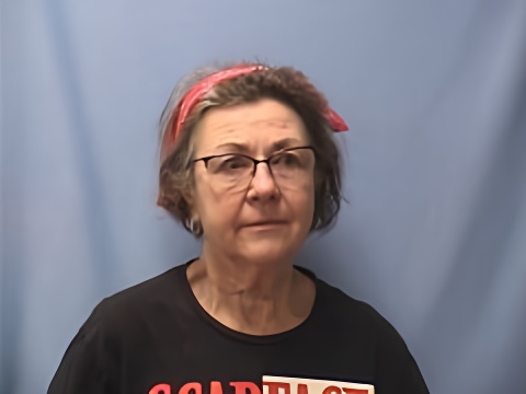 Mugshot of CATHY MORRIS