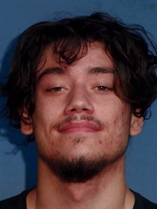 Mugshot of James Cdub Williams