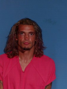 Mugshot of Michael ANTHONY TAYLOR