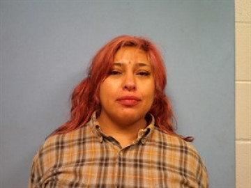 Mugshot of Michelle Christine Rogers