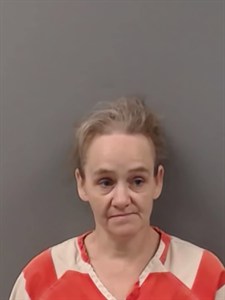 Mugshot of Elizabeth ANN HUGHES