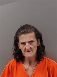 Mugshot of Renata STRNAD
