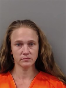 Mugshot of Antionette MARIE Amerson
