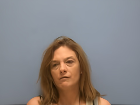 Mugshot of ERIN DENISE STAGGS