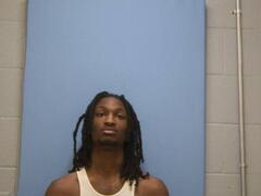 Mugshot of BRIAN KEITH MANN