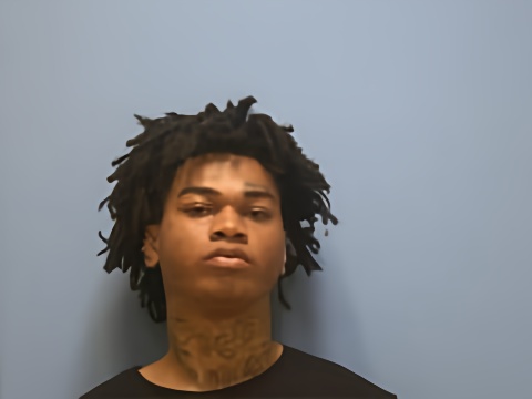 Mugshot of CAMERON SCHEIVEZ JR WILSON