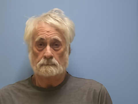 Mugshot of DAVID L SIMMONS