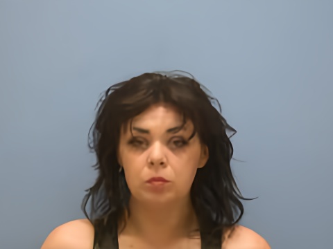Mugshot of HAYLEE MELINDA HOLBROOKS