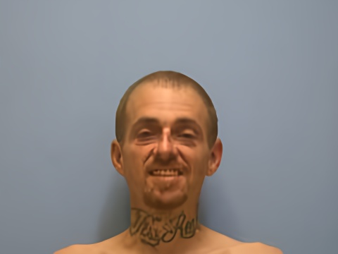 Mugshot of DAVID MICHAEL FISS