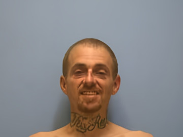 Mugshot of DAVID MICHAEL FISS