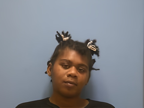 Mugshot of ASHANTEE JAMARI BROWNLEE