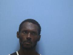 Mugshot of SHANNON K LYONS