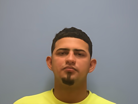 Mugshot of ROBERTH J LEAL LUZARDO
