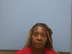 Mugshot of VERONICA MICHELE TONEY