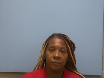 Mugshot of VERONICA MICHELE TONEY