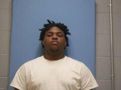 Mugshot of TYSHAWN MARKEL LOVE