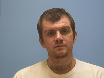 Mugshot of DANIEL LEE THOMAS