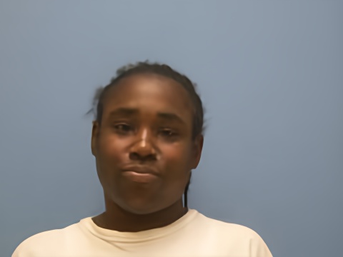 Mugshot of KYARRA DENEAN FOWLER