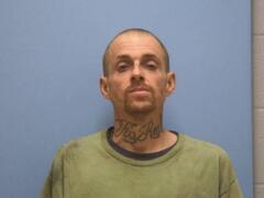 Mugshot of DAVID MICHAEL FISS