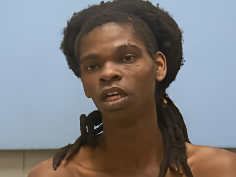 Mugshot of MYLES JAQUEZ WADDELL