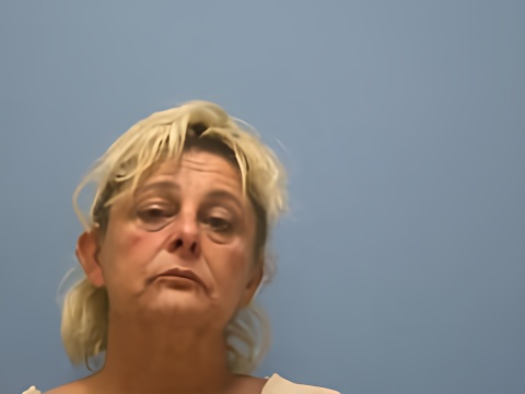 Mugshot of JENNIFER ELAINE HORTON