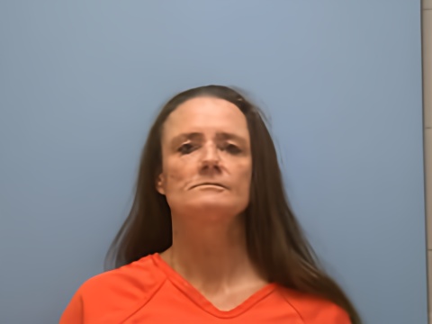 Mugshot of SANDRA RENEE HAM