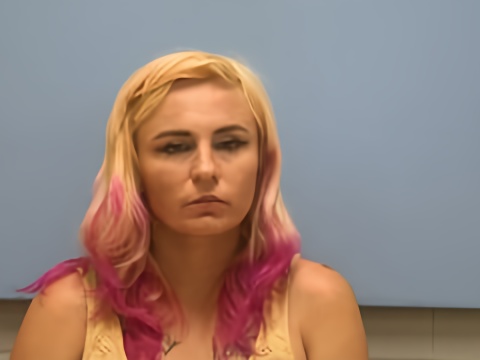 Mugshot of JESSICA LYNN JACKSON