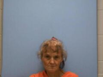 Mugshot of TINA CAROL BREWER