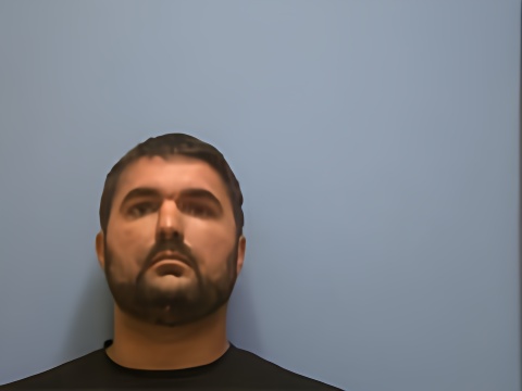 Mugshot of VLADIMIR NMN MIRANOVIC