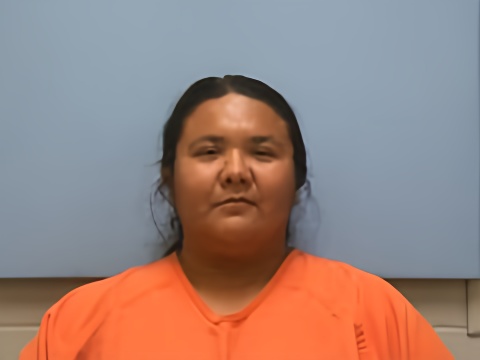 Mugshot of GABRIELLE GAIL LOVELACE