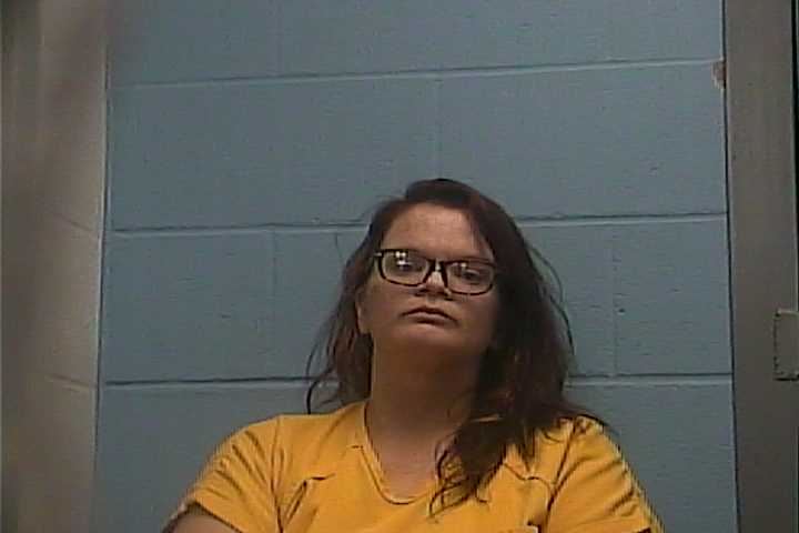 Mugshot of AMANDA STEPHENS