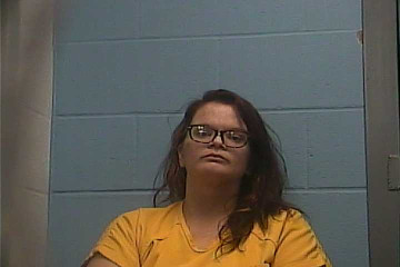 Mugshot of AMANDA STEPHENS