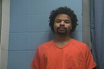 Mugshot of TERRY LEWIS