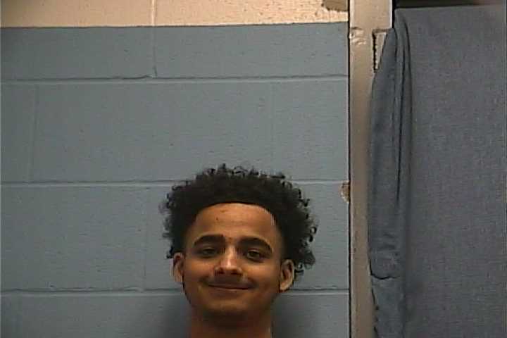 Mugshot of CHRIS ARNOLD