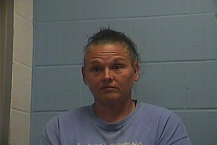 Mugshot of ALEISHA D SIMS