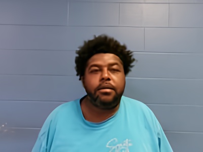 Mugshot of DARIUS M HOLLOWAY