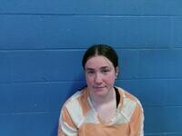 Mugshot of JESSICA L LOWERY