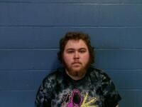 Mugshot of TY G HENDERSON