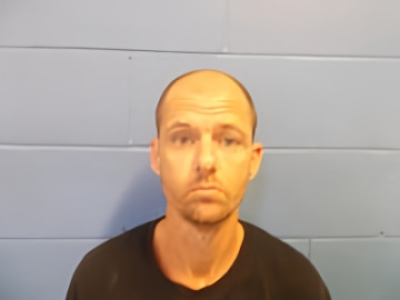 Mugshot of RONNY E HANLY