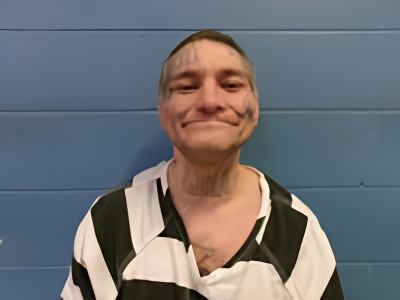 Mugshot of TERRY L PITTMAN
