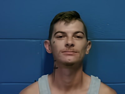 Mugshot of JAY D ALLRED