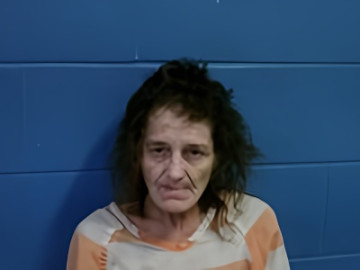 Mugshot of CHRISTINE COTTON