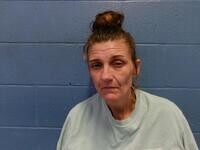 Mugshot of TONYA L HARBISON