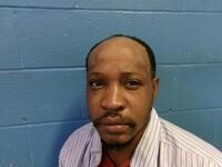 Mugshot of SATIZES L DANNER